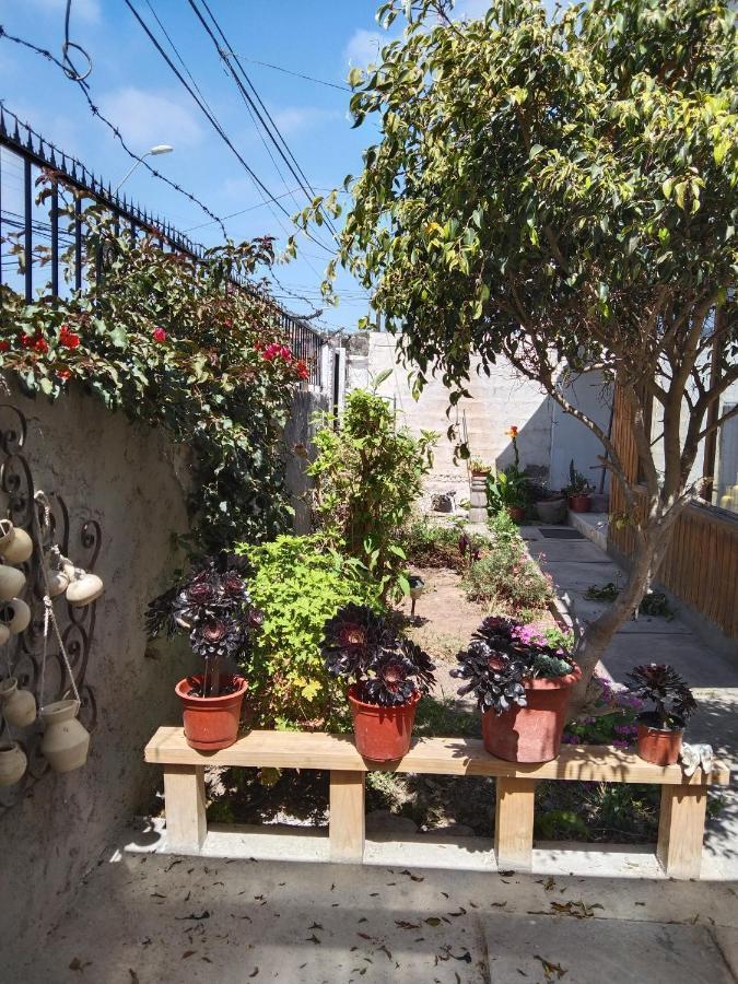 Casa Serena 513 La Serena Buitenkant foto